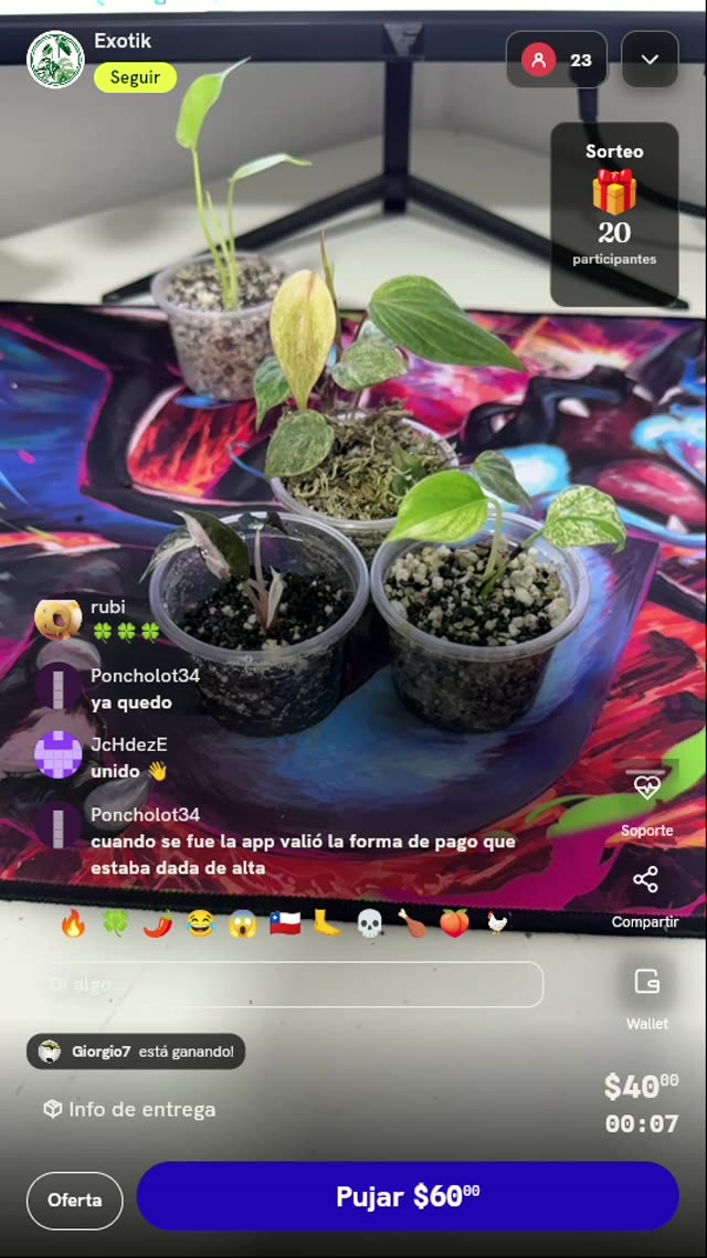 Plántulas de Plantas Exóticas