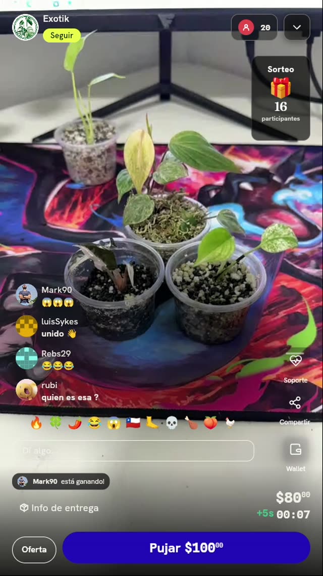 Esquejes de Plantas Exóticas