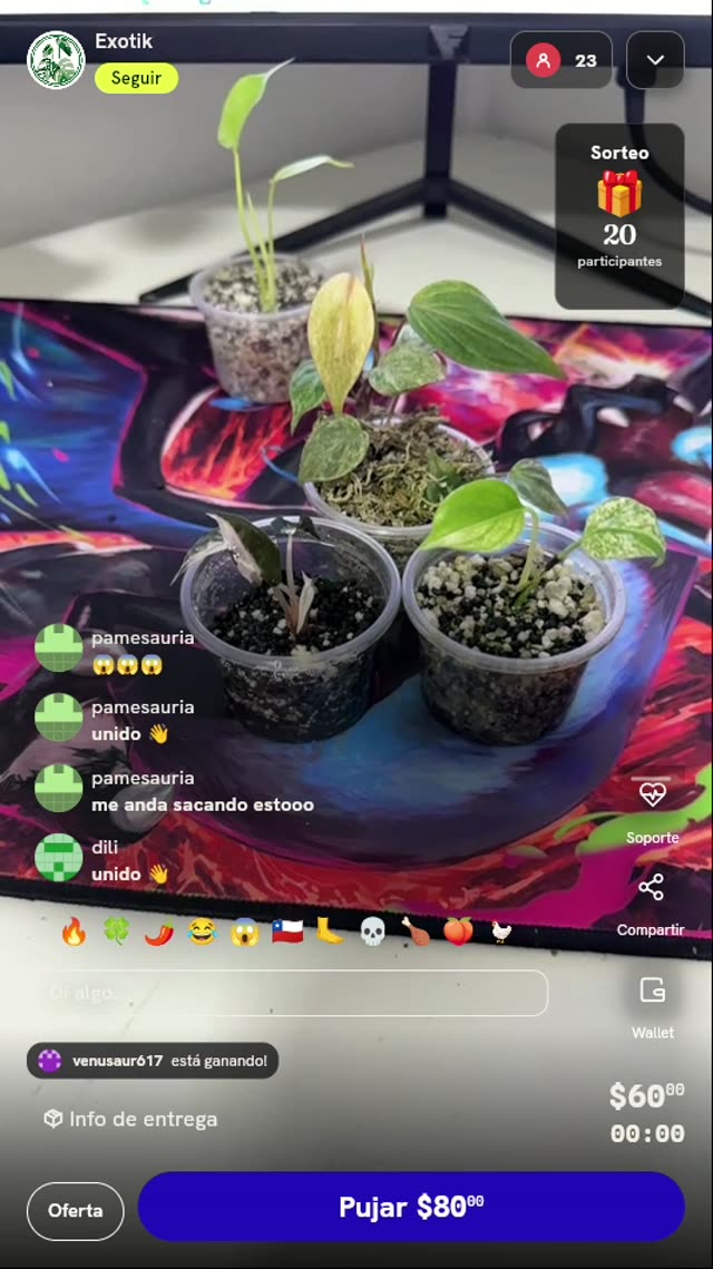 Plántula de planta exótica