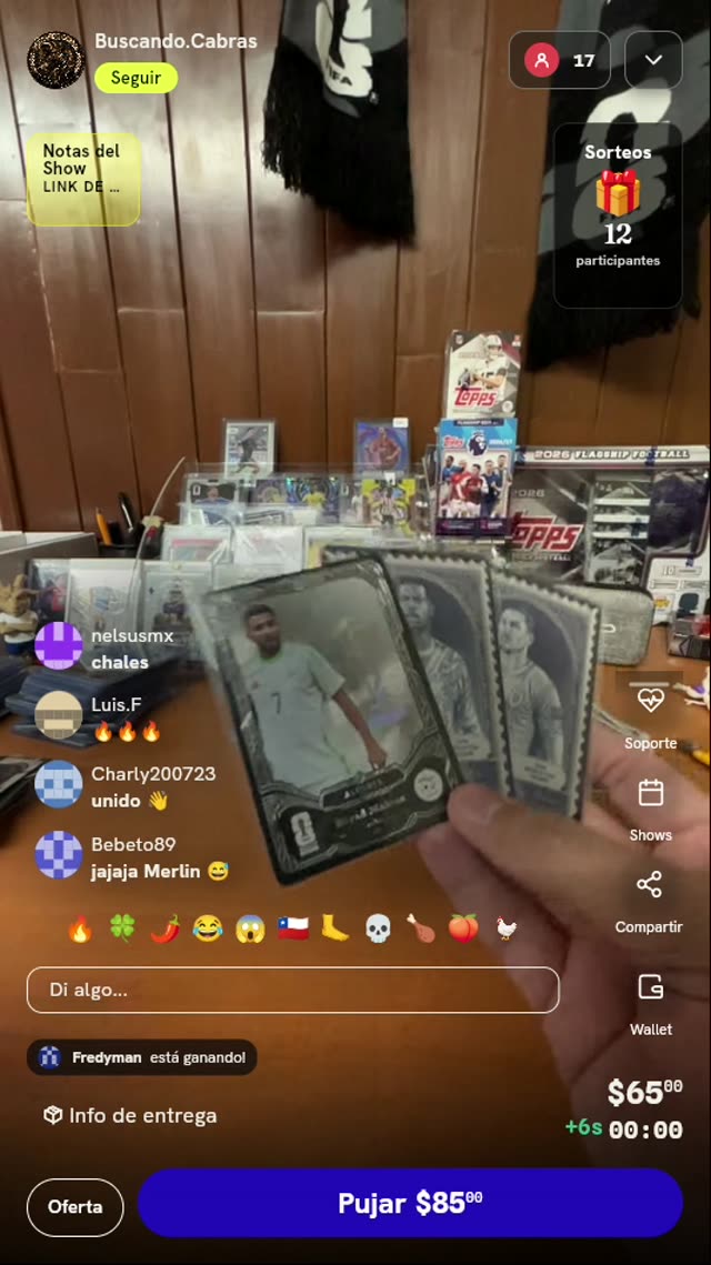 Lote de Cartas Panini x Kayou