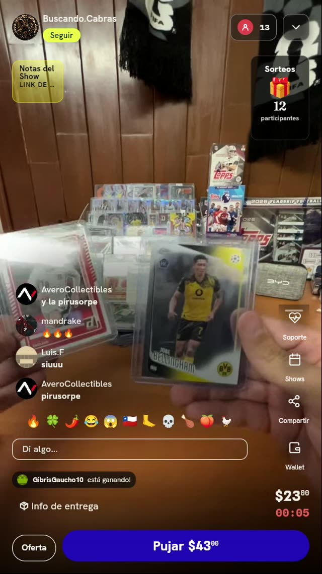 Lote de cartas coleccionables de fútbol