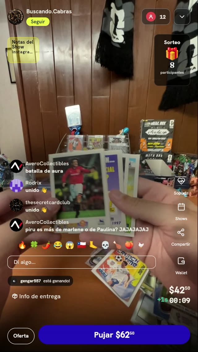 Lote de Cartas Merlin Premier League