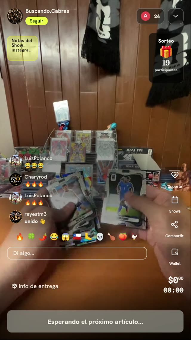 Lote de Tarjetas de Fútbol Panini