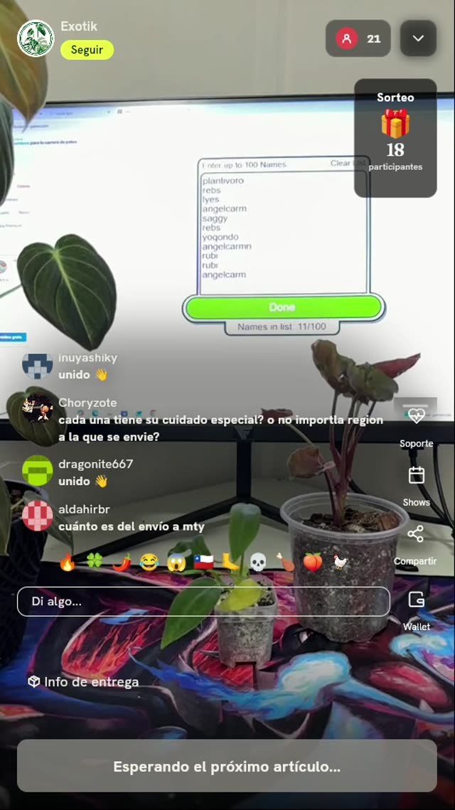 Planta exótica tropical en maceta