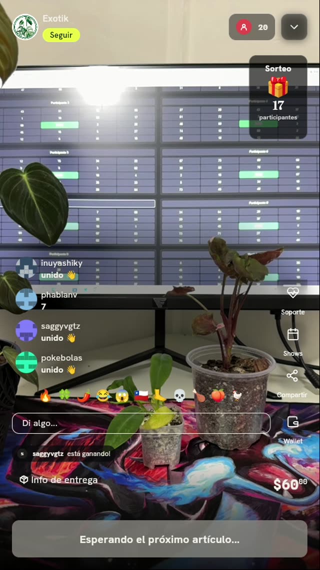 Planta Exótica de Colección