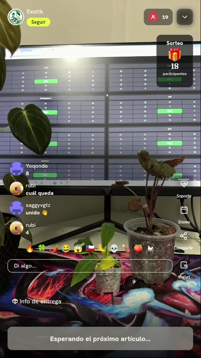 Planta Tropical Exótica de Colección