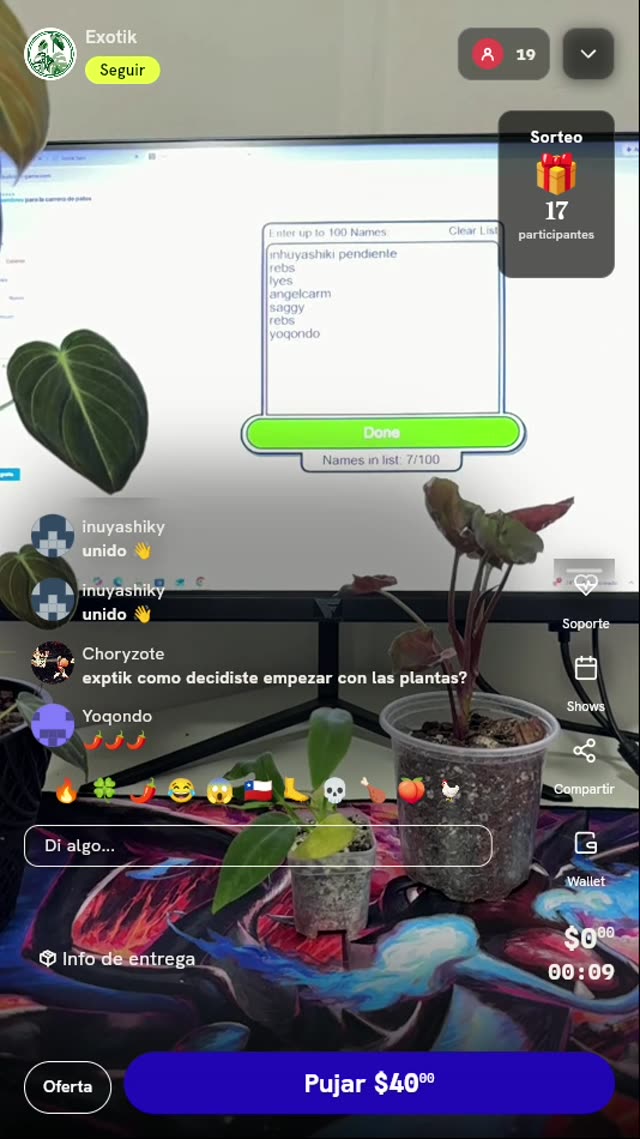 Planta tropical exótica en maceta
