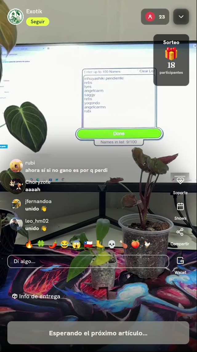Monstera Deliciosa Super Gold Banana