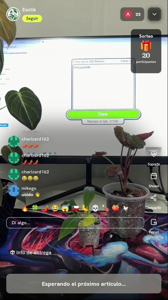 Planta exótica tropical en maceta