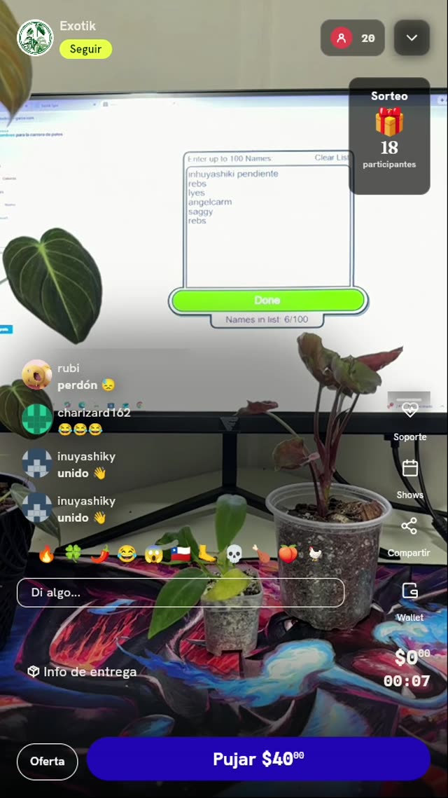 Planta Exótica de Colección