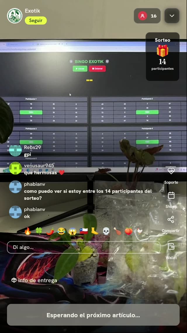 Planta Exótica de Colección Exotik