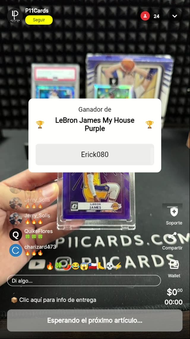 LeBron James My House Purple