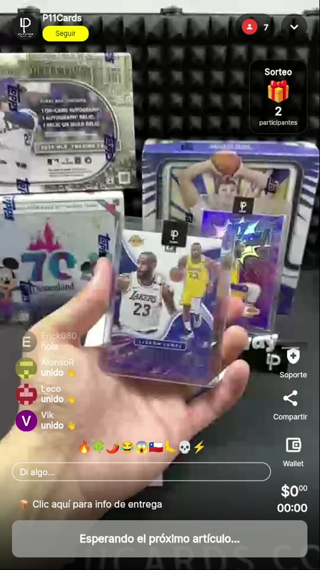 LeBron James My House Optic