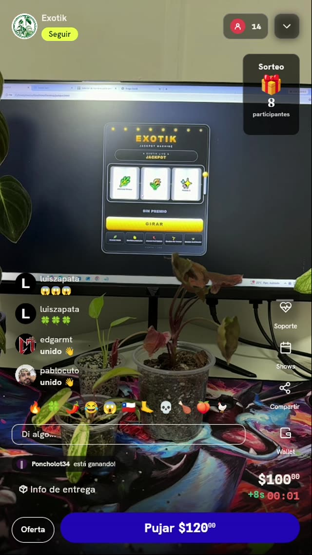 Planta exótica aclimatada