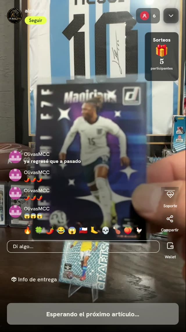 Lote Cartas Panini Donruss Soccer