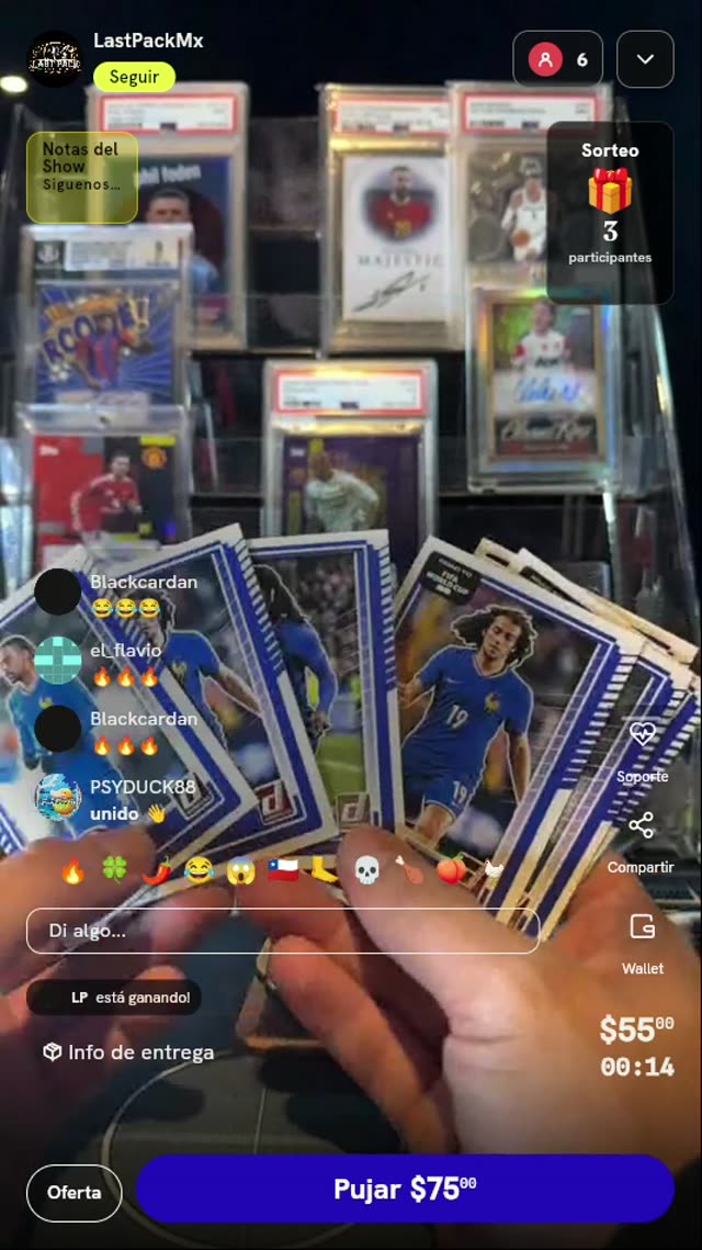 Lote de Tarjetas Panini Donruss Francia