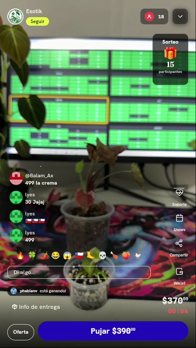 Planta Syngonium rosa en maceta
