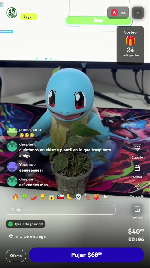 Planta de Colección Alocasia Venom