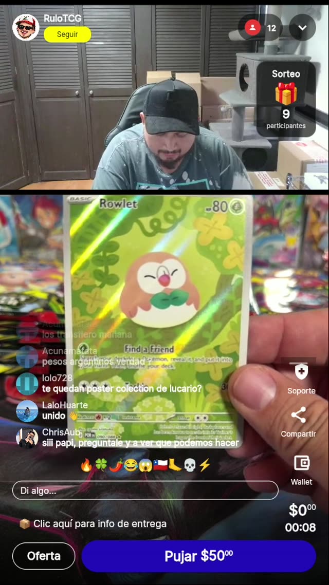 Rowlet Find a Friend Pokémon