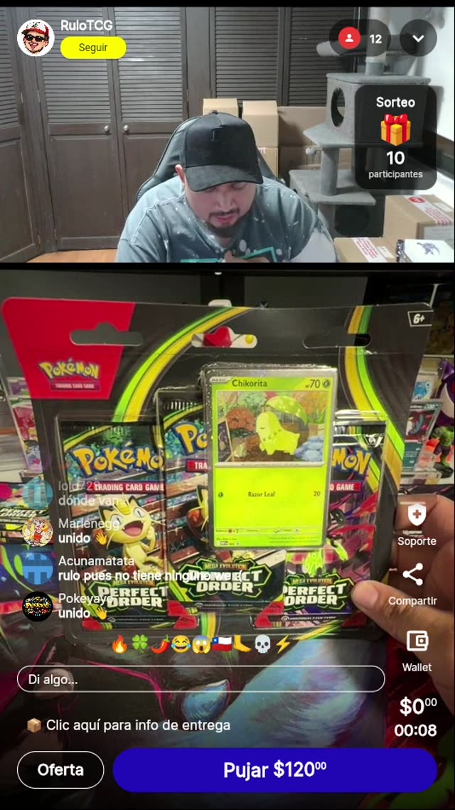 Pokémon Perfect Order Chikorita Blister