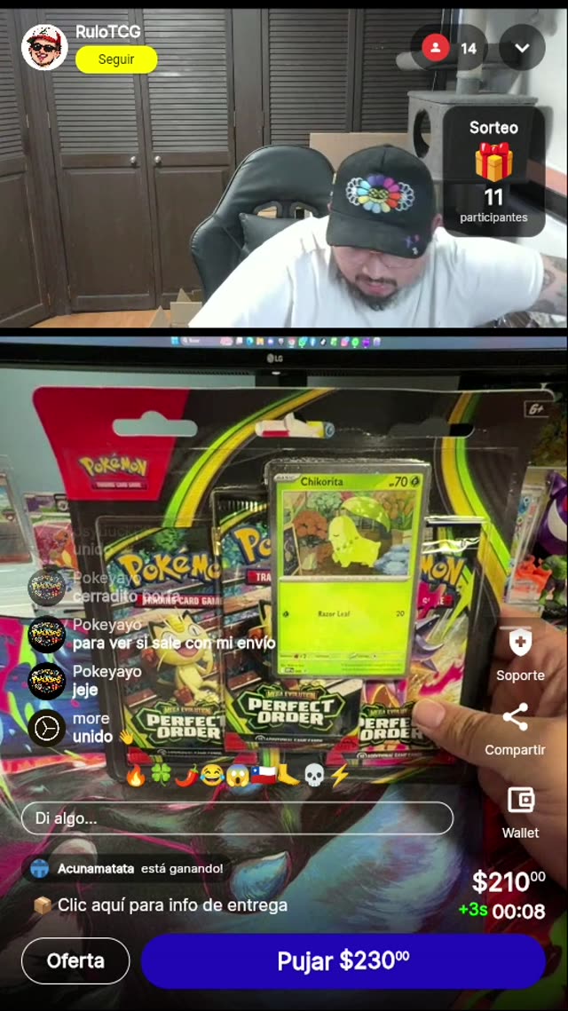 Pokémon Perfect Order Chikorita Blister