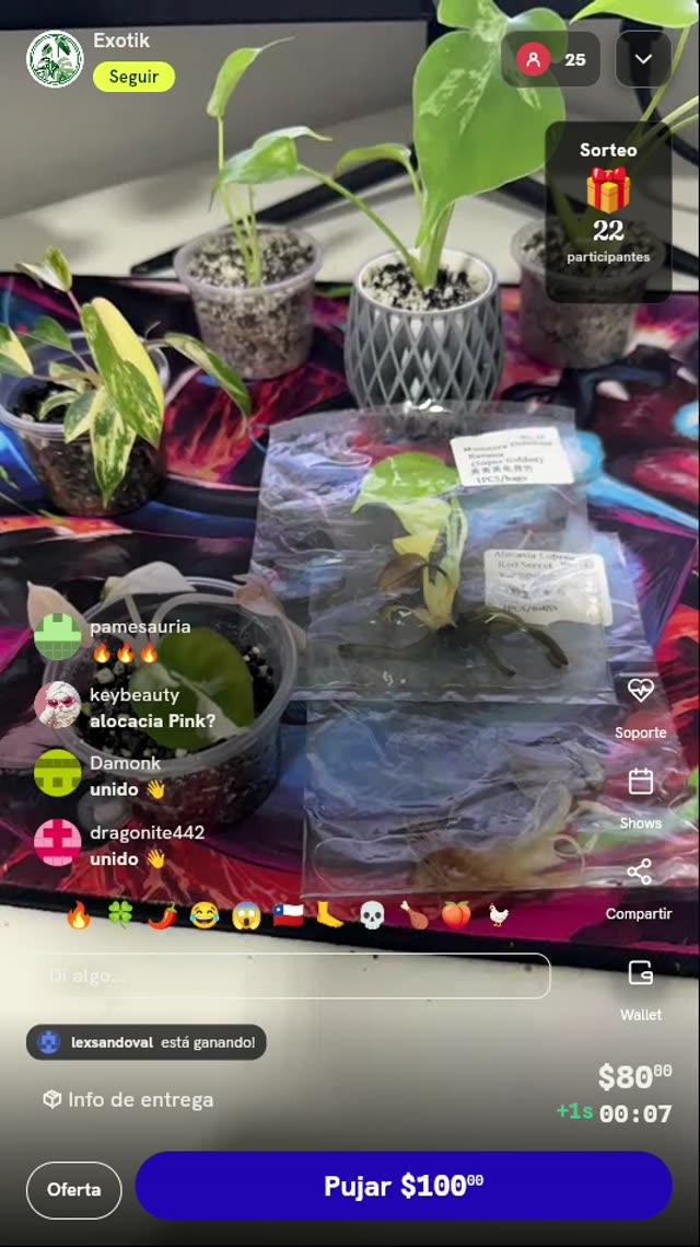 Lote de plantas exóticas de colección