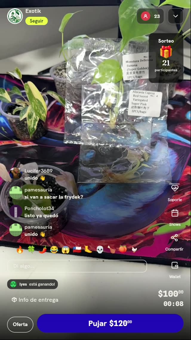 Plantas en Cultivo de Tejidos