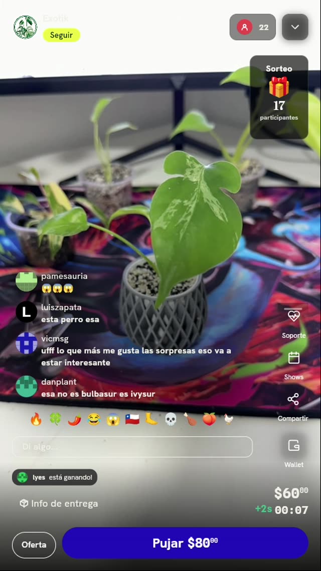 Planta Variegada en Maceta 3D