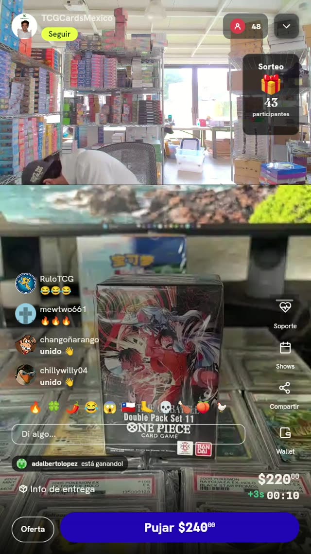 One Piece Double Pack Vol. 11