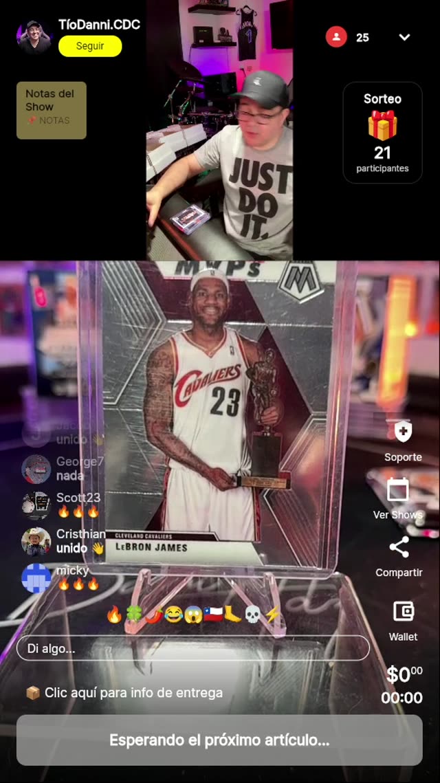 LeBron James Mosaic MVP 2019-20