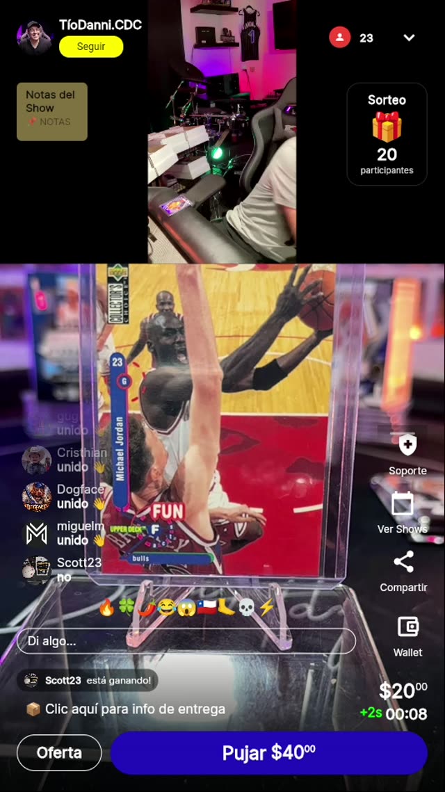 Michael Jordan Upper Deck Bulls