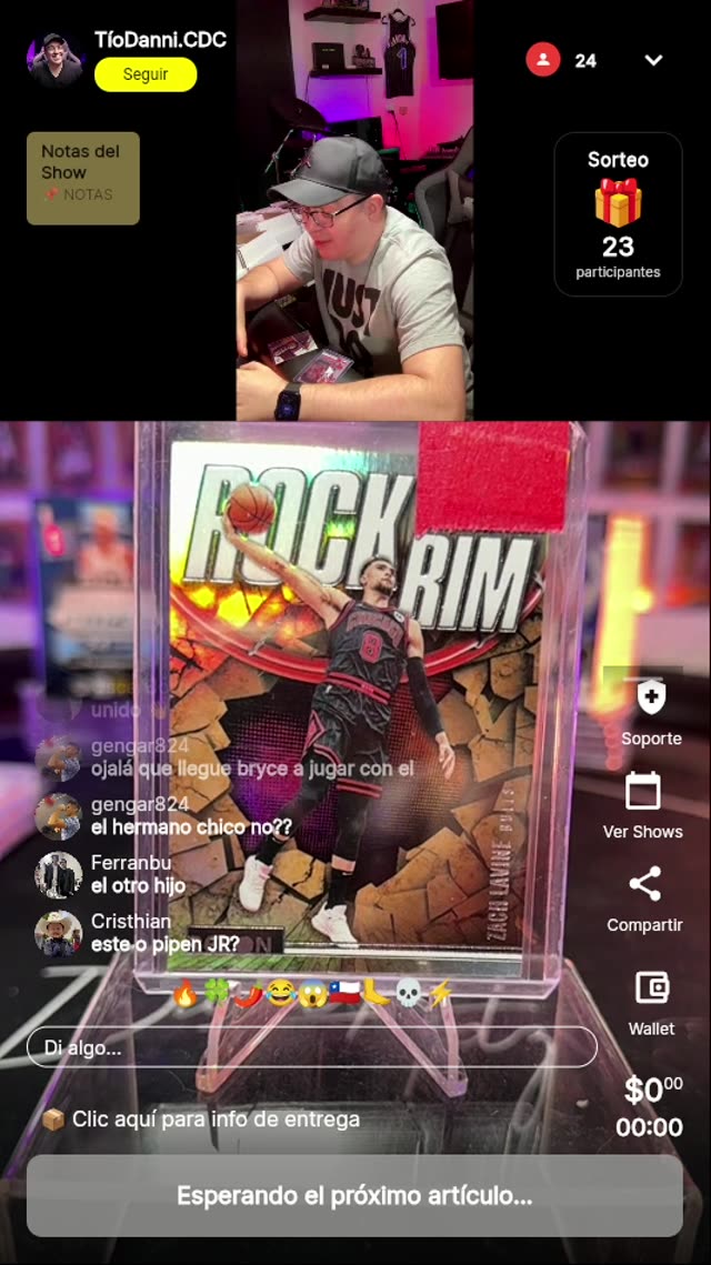 Zach LaVine Rock the Rim