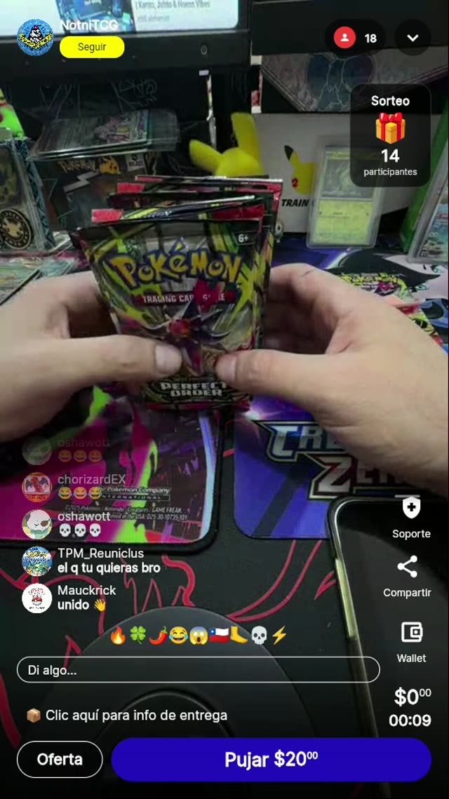 Sobre Pokémon Darkness Ablaze sellado