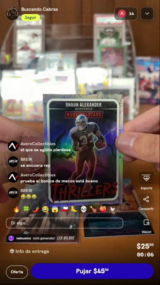 Lote de Cartas Panini NFL