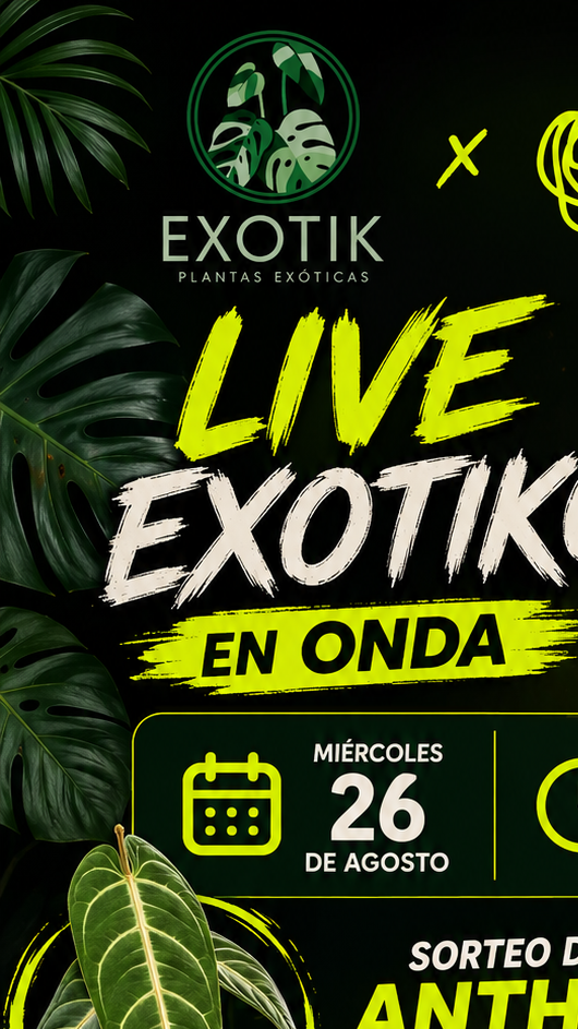 La boloñesa exótica 
