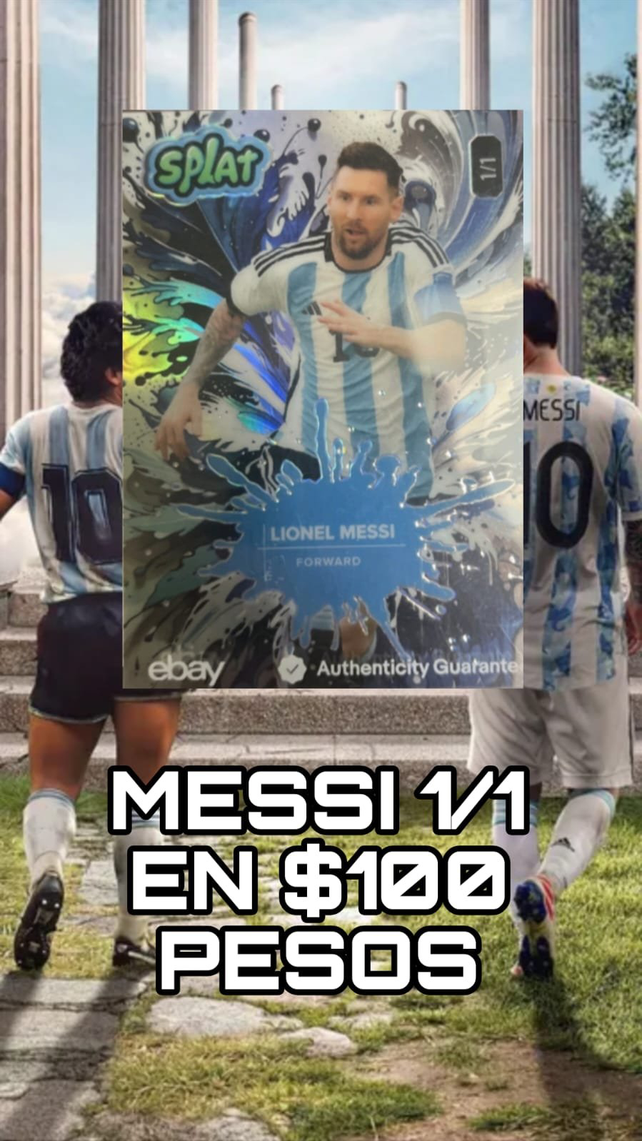 Show Poster