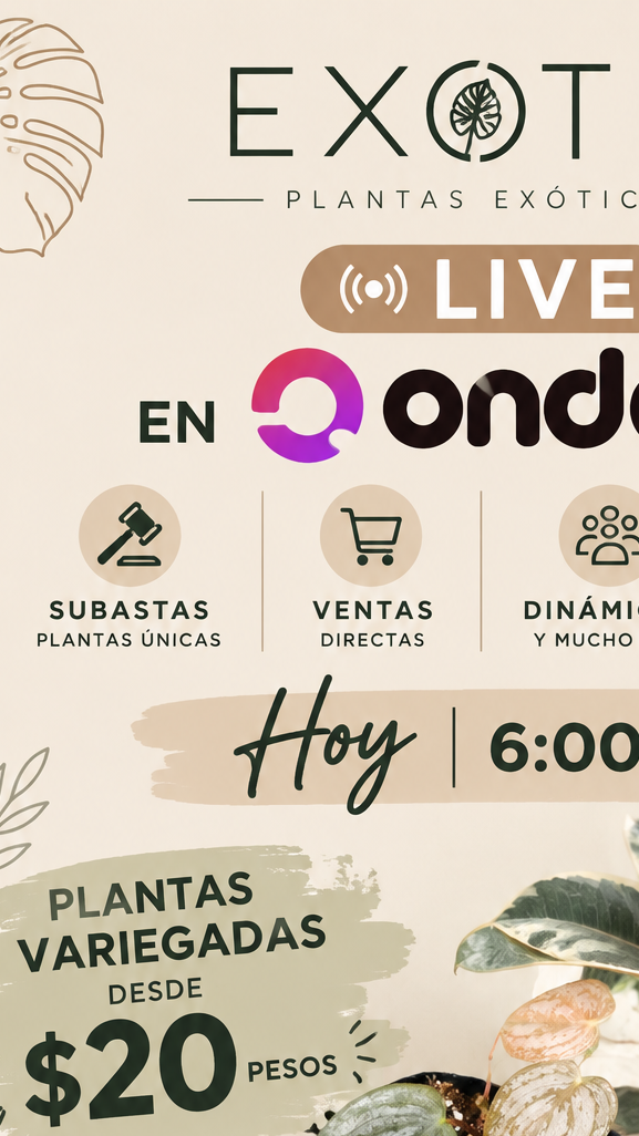 plantas exóticas desde 20 pesos 