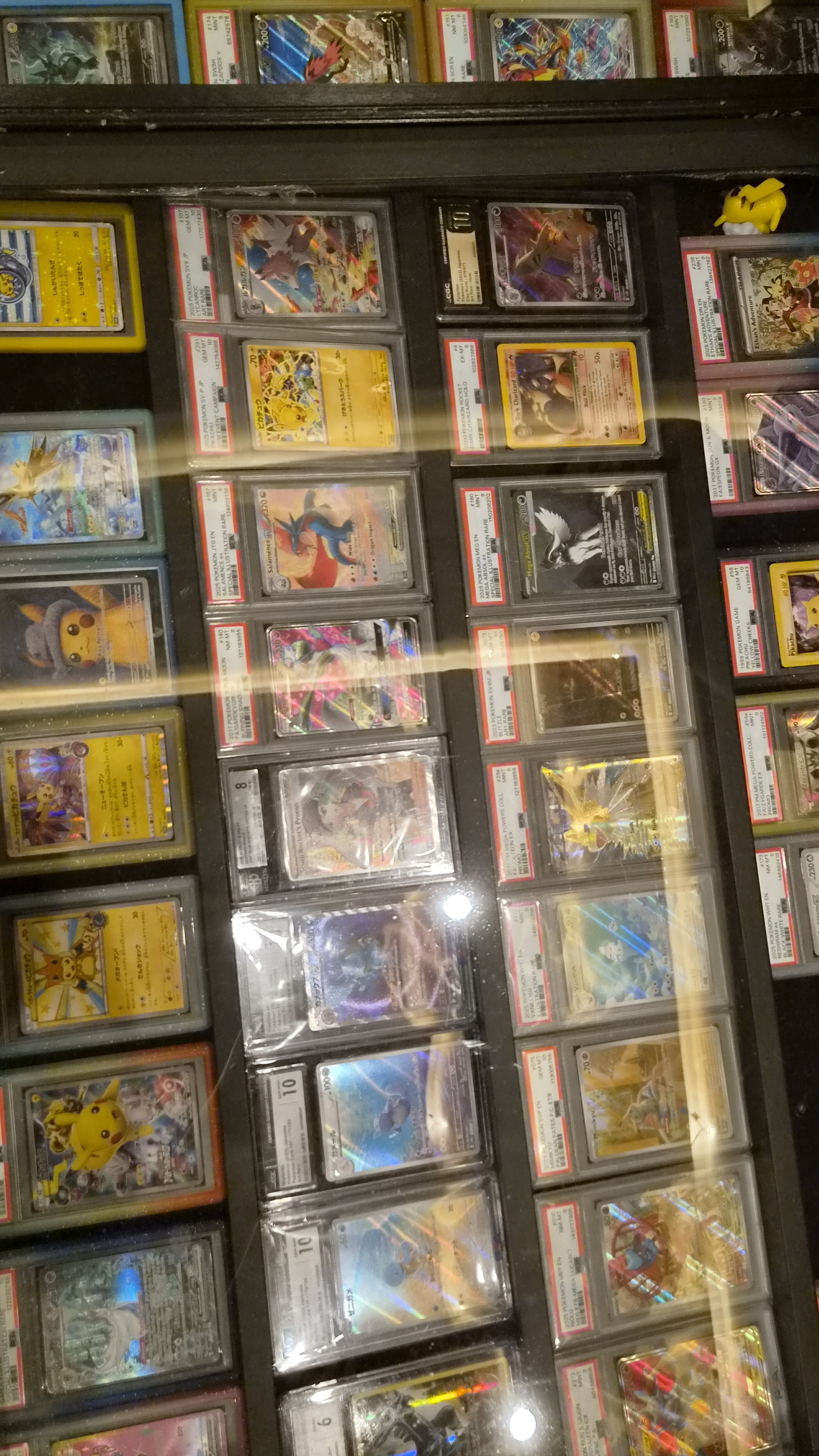 DOMINGO DE CARDSHOW