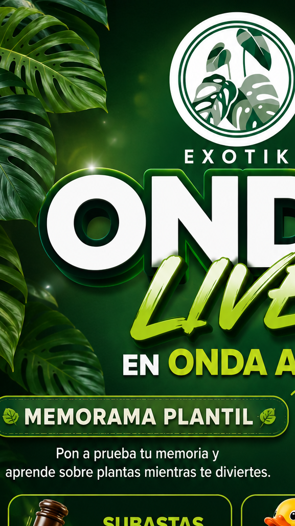 live exótico 