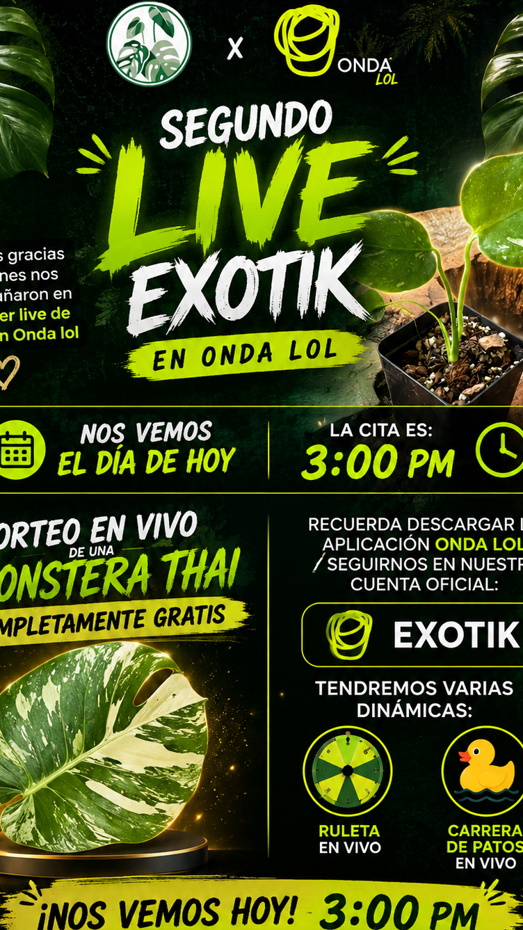 Plantas exoticas 