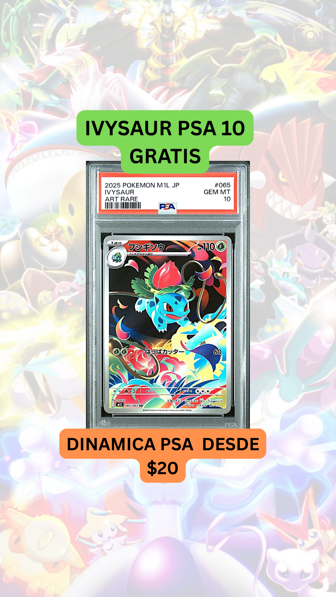 🚨DINÁMICA PSA DESDE $20🚨IVYSAUR PSA 10 GRATIS🚨