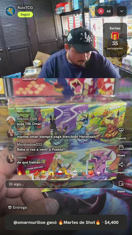 Caja de Colección Eeveelutions Pokémon