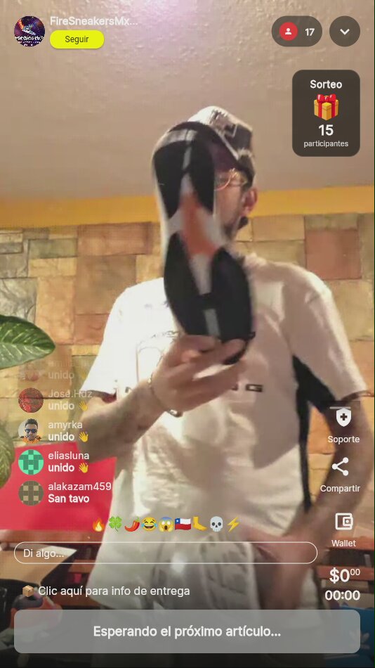 Artículo