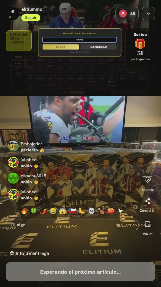 Panini Select FIFA World Cup Mega Box