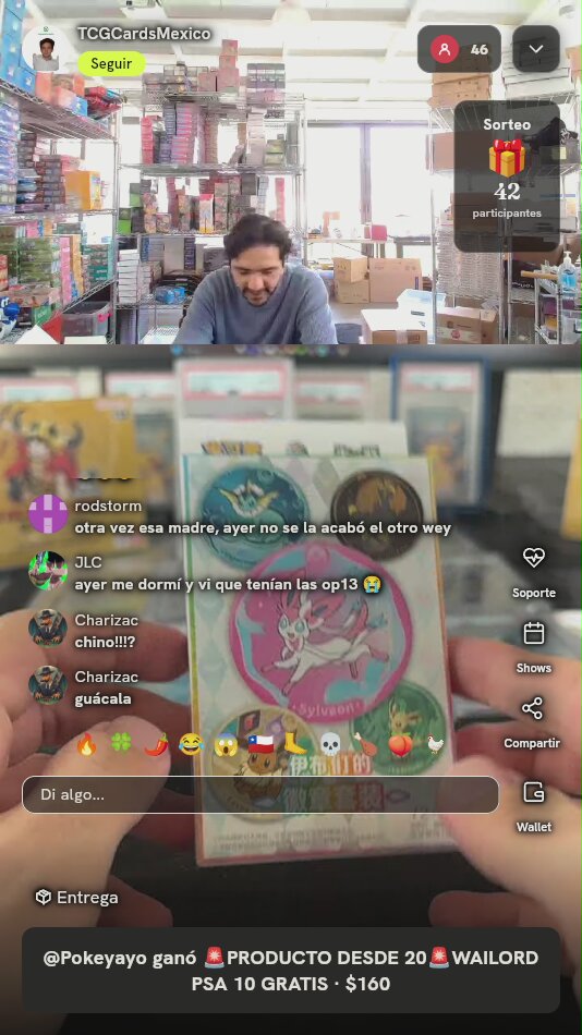 Set de Pines Pokémon Eeveelutions