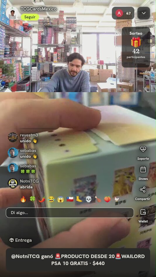 Caja Blind Box Pokémon Eeveelution