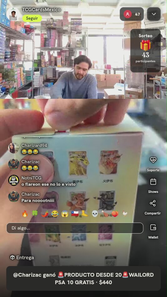 Caja Blind Box Pokémon Eeveelution
