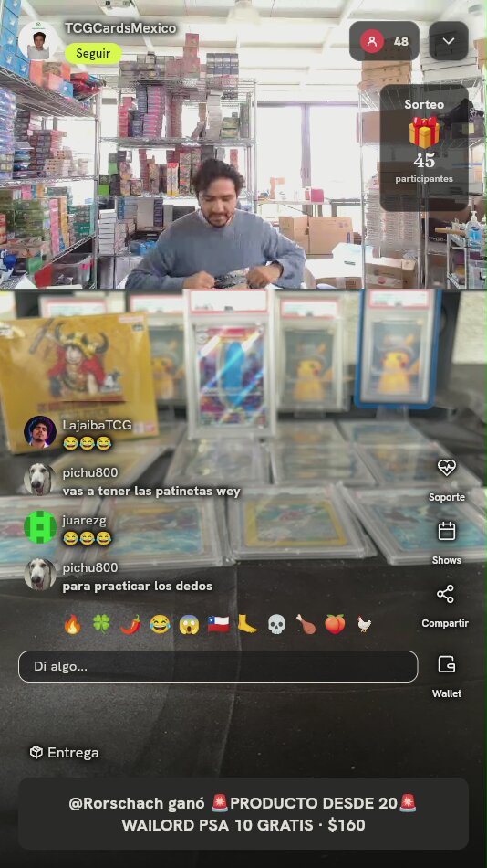 Sobre Pokémon Primordial Arts Chino