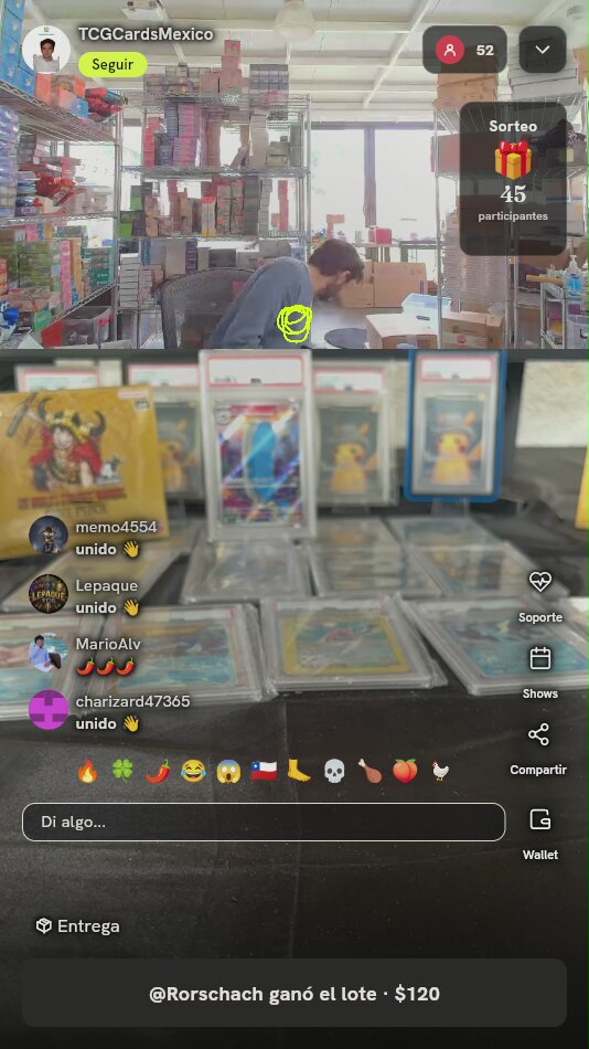 Sobre Sleeved Pokémon Perfect Order