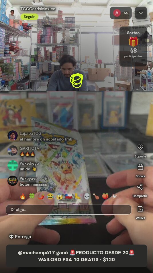 Sobre Pokémon TCG Chino Eevee